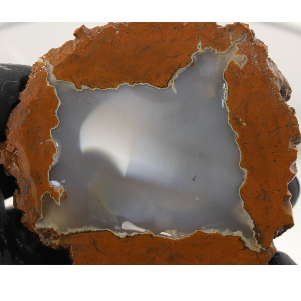 2.5oz Oregon Thunderegg Half Cut Face Old Stock Vintage Collection Natural Raw